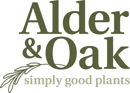 alder and oak logo