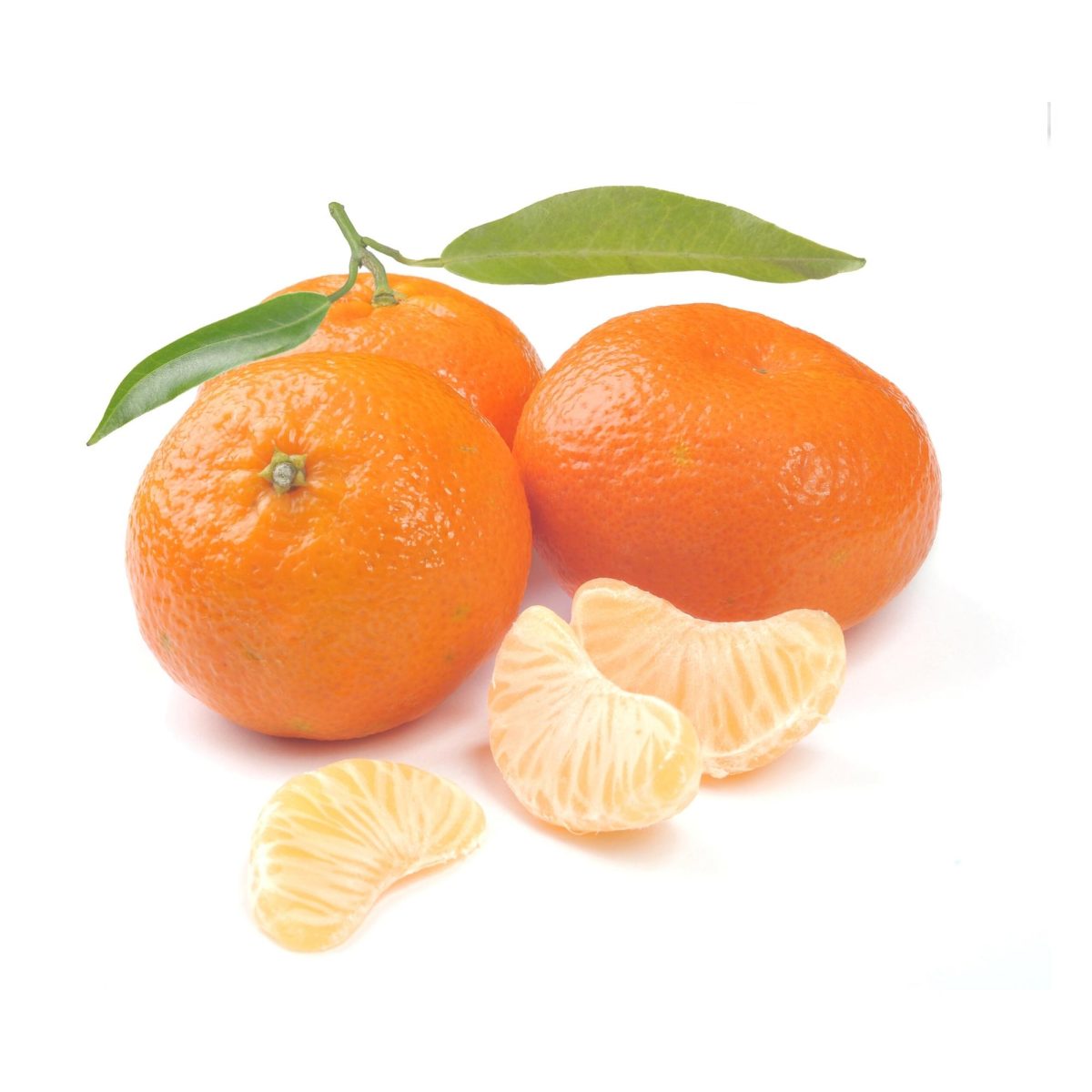 Pieces of Darcy Tangerines and evergreen foliage.s and