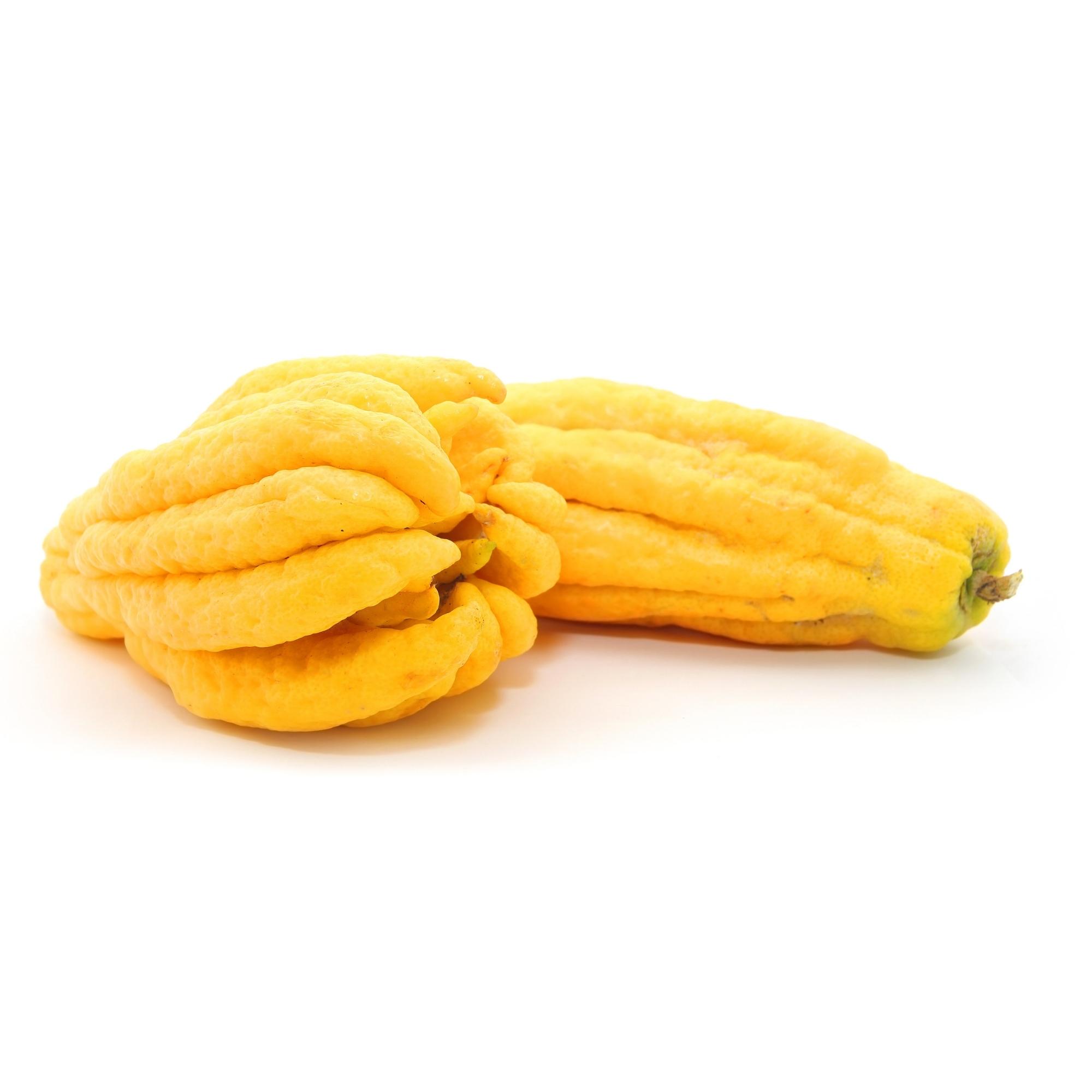 Bright yellow fruit that looks like fingers hanging down.